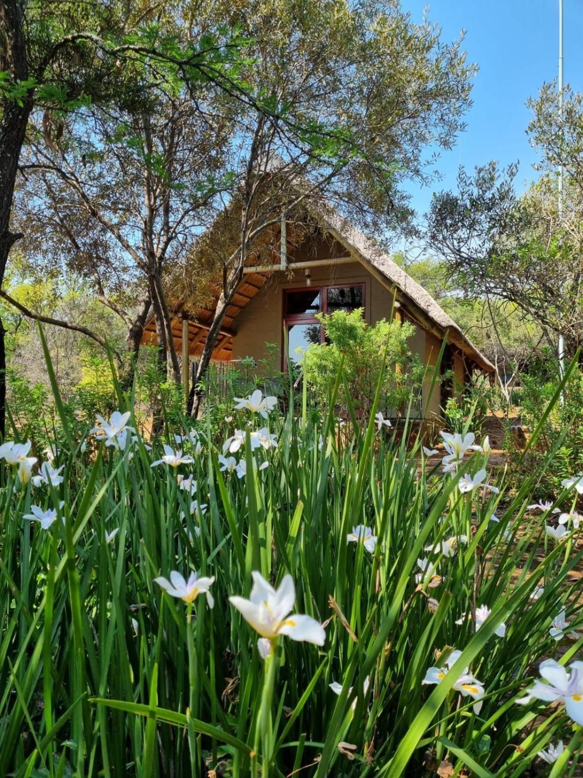 Tidimalo Lodge รัสเทนเบิร์ก ภายนอก รูปภาพ